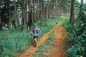 BIB: 
                            <button type="button" onclick="openModal(25656371)" class="btn btn-primary btn-sm float-right btn-popup" data-toggle="modal" data-target=".modal-high-quality">
                        <i class="fas fa-shopping-cart"></i> Add to Cart
                    </button>
                                            <button type="button" onclick="isThisMe(25656371, true)" class="btn btn-success btn-sm float-right btn-popup btn-isme hidden" data-toggle="tooltip" data-placement="bottom" title="นี่คือรูปของคุณใช่ไหม คลิกที่นี่เพื่อเอาเข้าอัลบั้ม">
                        <i class="fas fa-plus"></i> Add to album
                    </button>
                    <button type="button" onclick="isThisMe(25656371, false)" class="btn btn-warning btn-sm float-right btn-popup btn-isnotme hidden">
                        <i class="fas fa-ban"></i> Remove from album
                    </button>